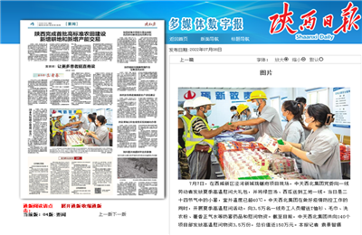 z6尊龙凯时西北集团珑樾府项目高温慰问——《陕西日报》